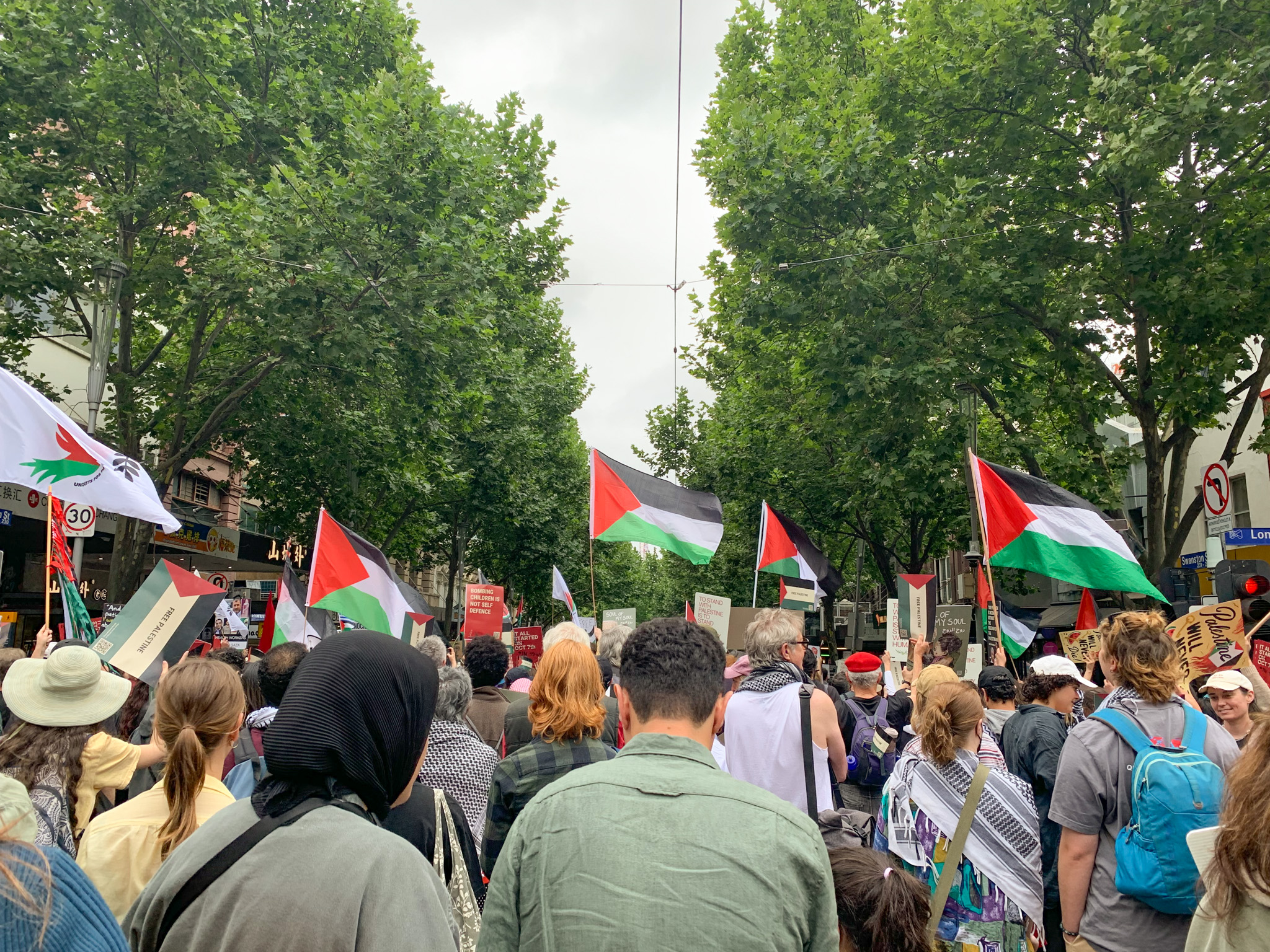 Crowd of people protesting with Palestine flags