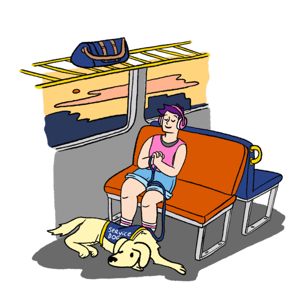 Public Transport